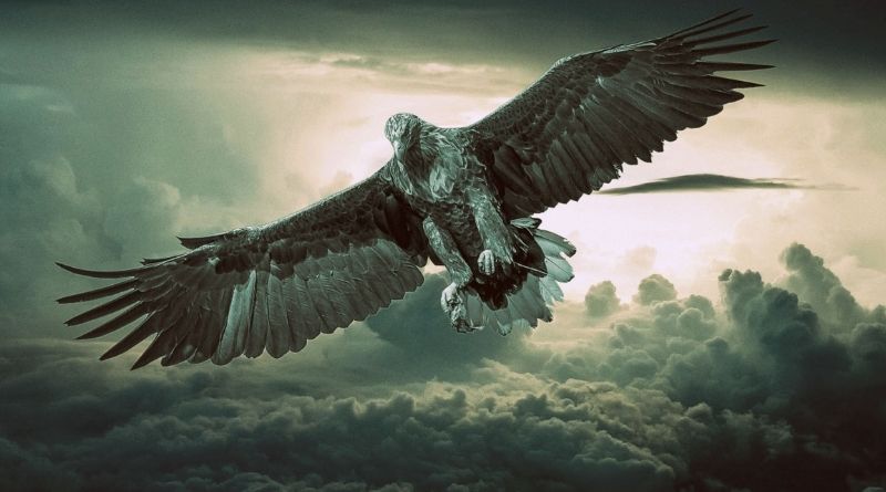 Con alas de águila (II). Tiempo de tribulación-MarchandoReligion.es