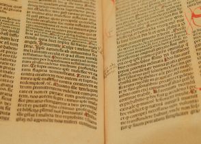 Del latín al español-MR